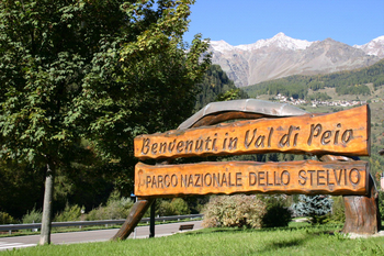 Welcome in Val di Pejo